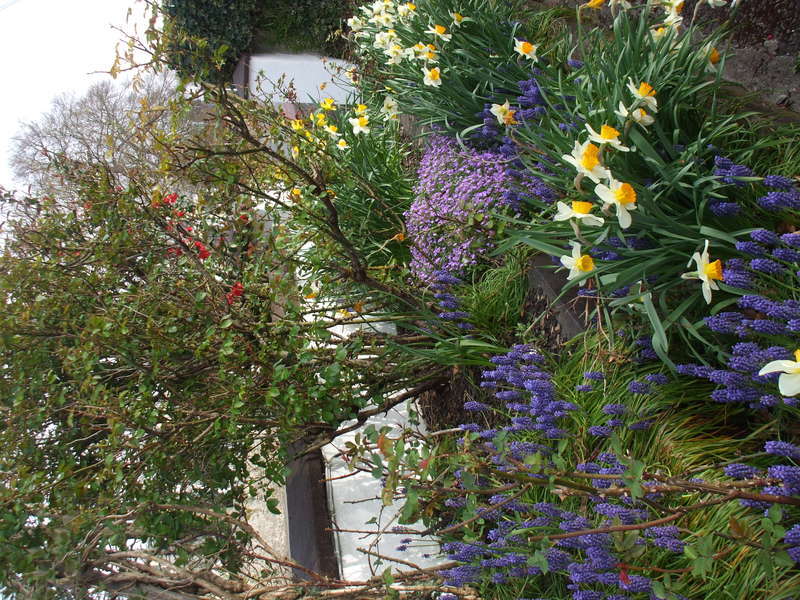 Mena House Hotel Kilkenny Kültér fotó