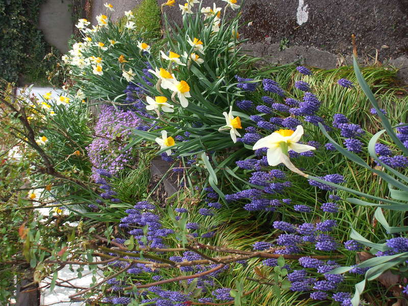 Mena House Hotel Kilkenny Kültér fotó